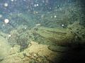 Thistlegorm (61)